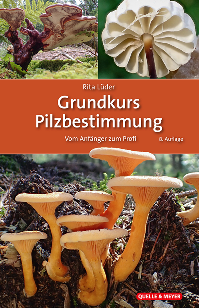 Cover: Grundkurs Pilzbestimmung