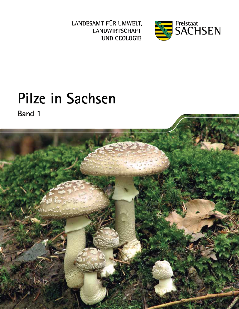 Cover: Pilze in Sachsen (Band 1 & 2)