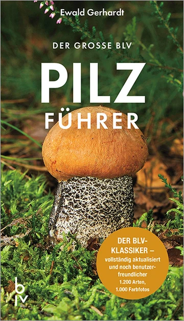 Cover: Der große BLV Pilzführer