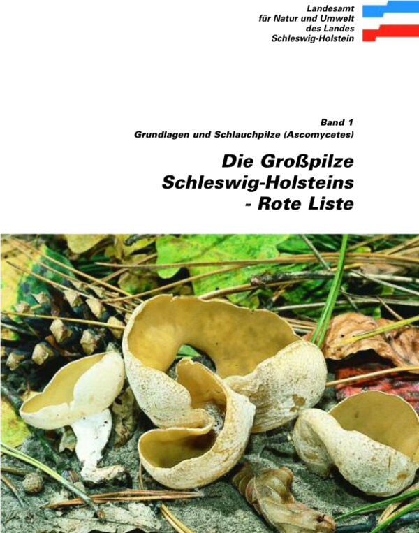 Cover: Rote Liste – Die Großpilze Schleswig-Holsteins