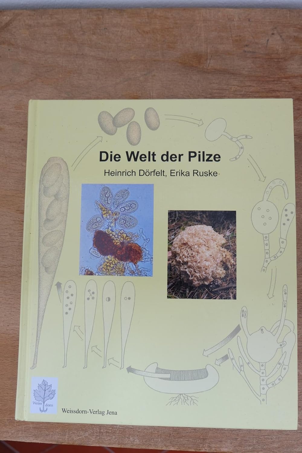 Cover: Die Welt der Pilze