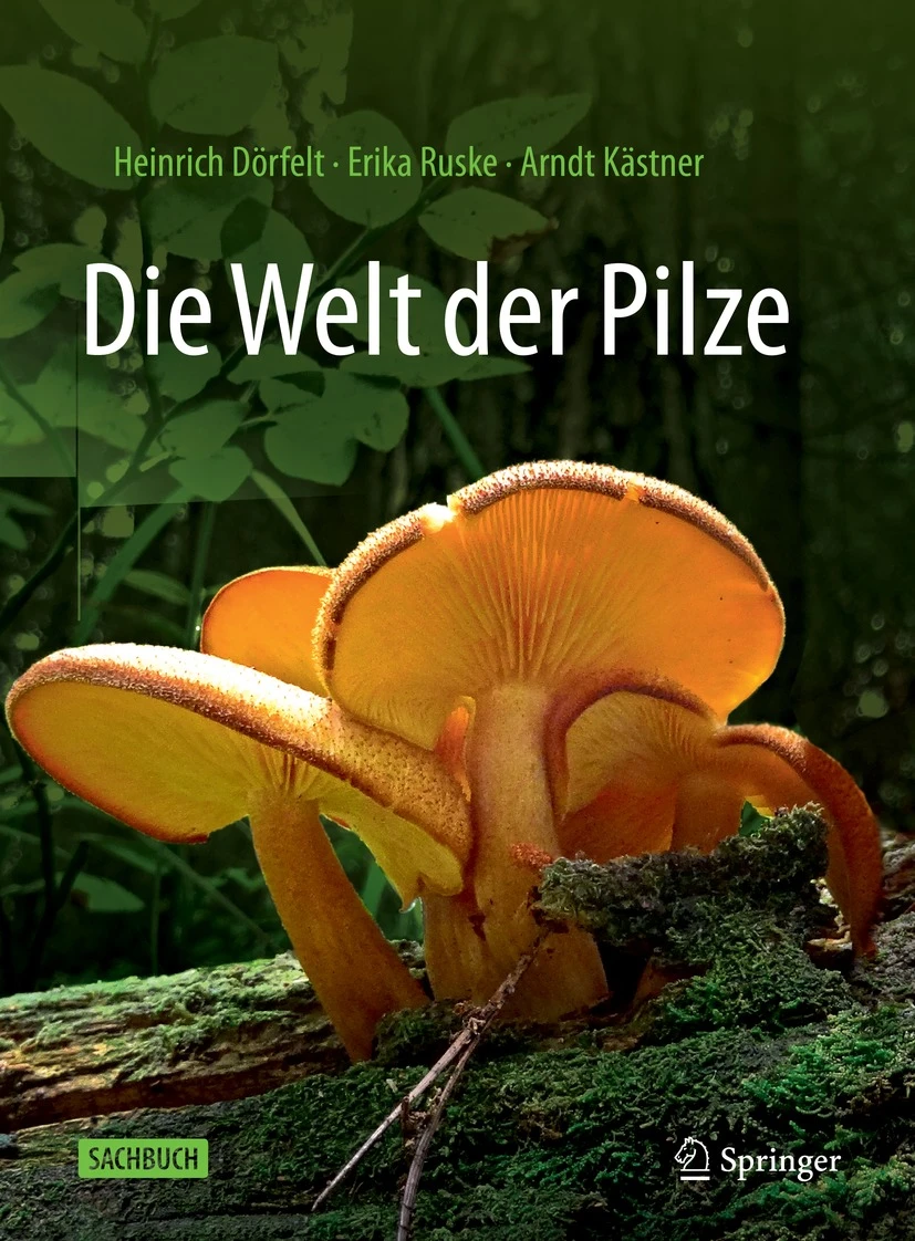 Cover: Die Welt der Pilze