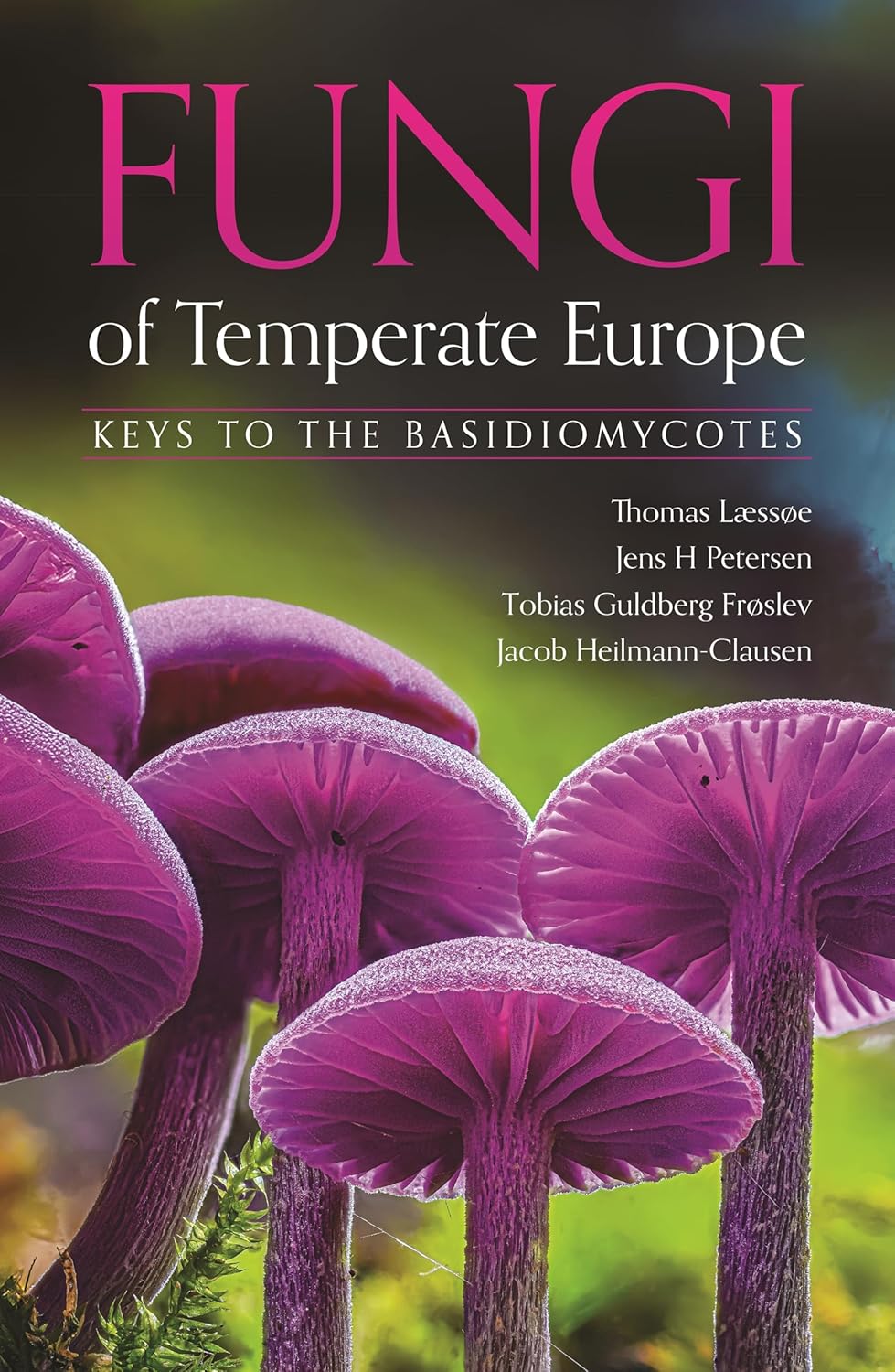 Cover: Fungi of Temperate Europe: Keys to the Basidiomycotes