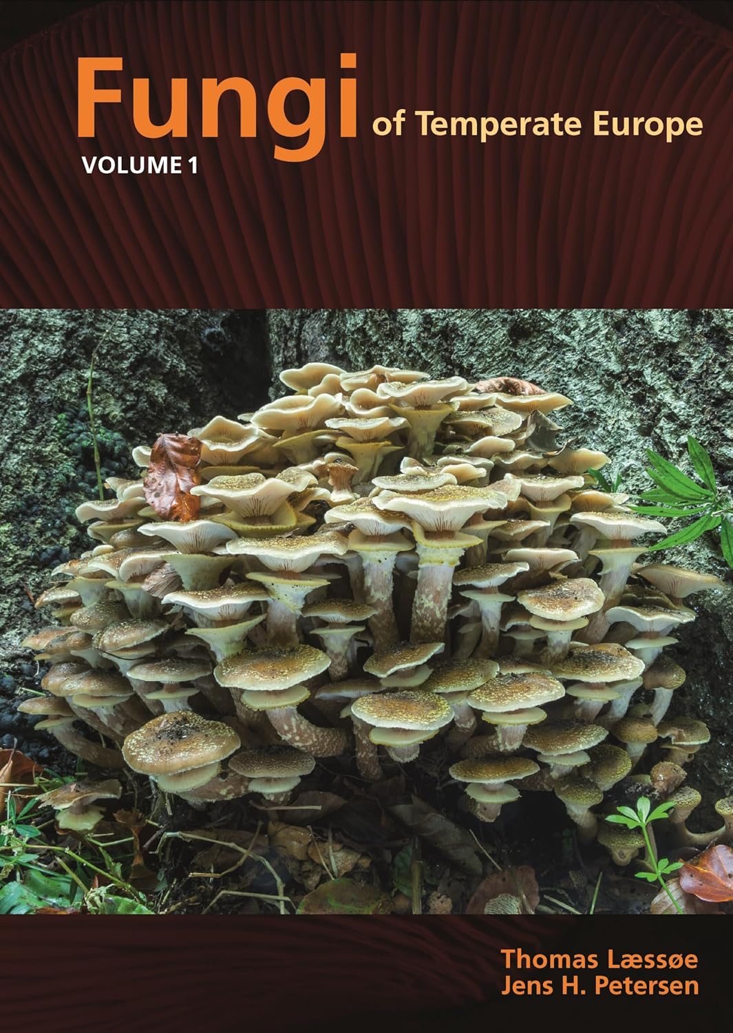 Cover: Fungi of Temperate Europe (Vol. 1 & 2)