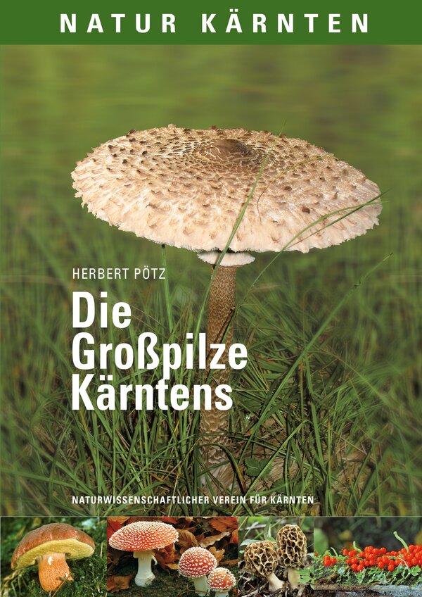Cover: Die Großpilze Kärntens