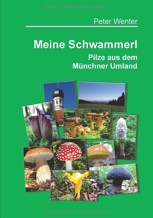 Cover: Meine Schwammerl – Pilze aus dem Münchner Umland