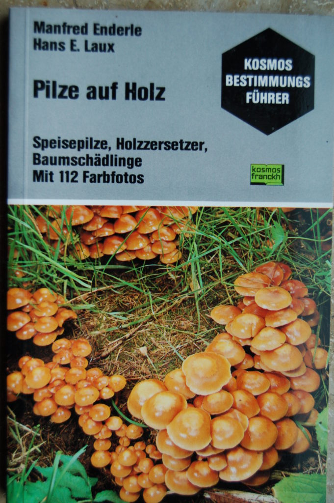 Cover: Pilze auf Holz