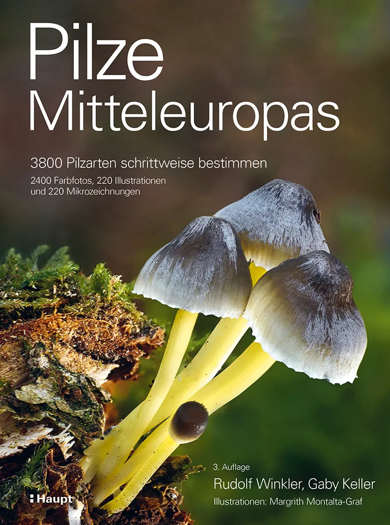 Cover: Pilze Mitteleuropas