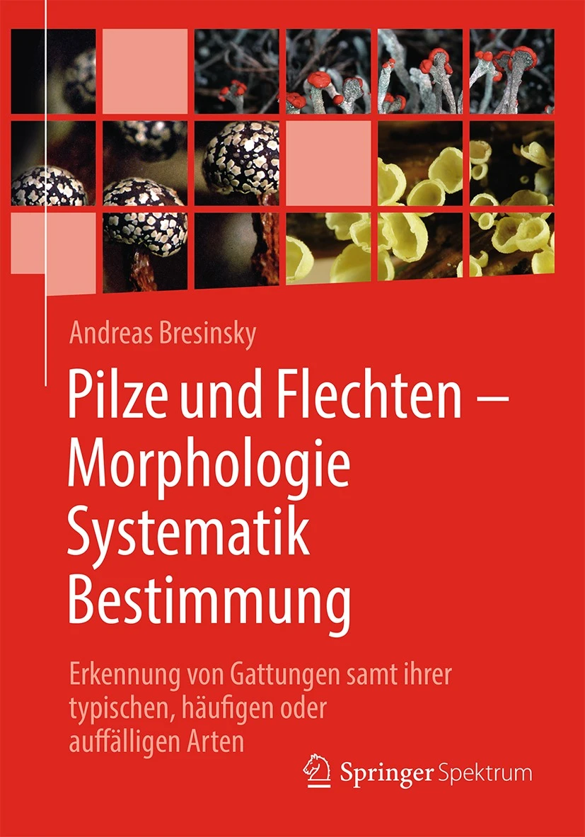 Cover: Pilze und Flechten – Morphologie, Systematik, Bestimmung
