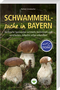 Cover: Schwammerlsuche in Bayern