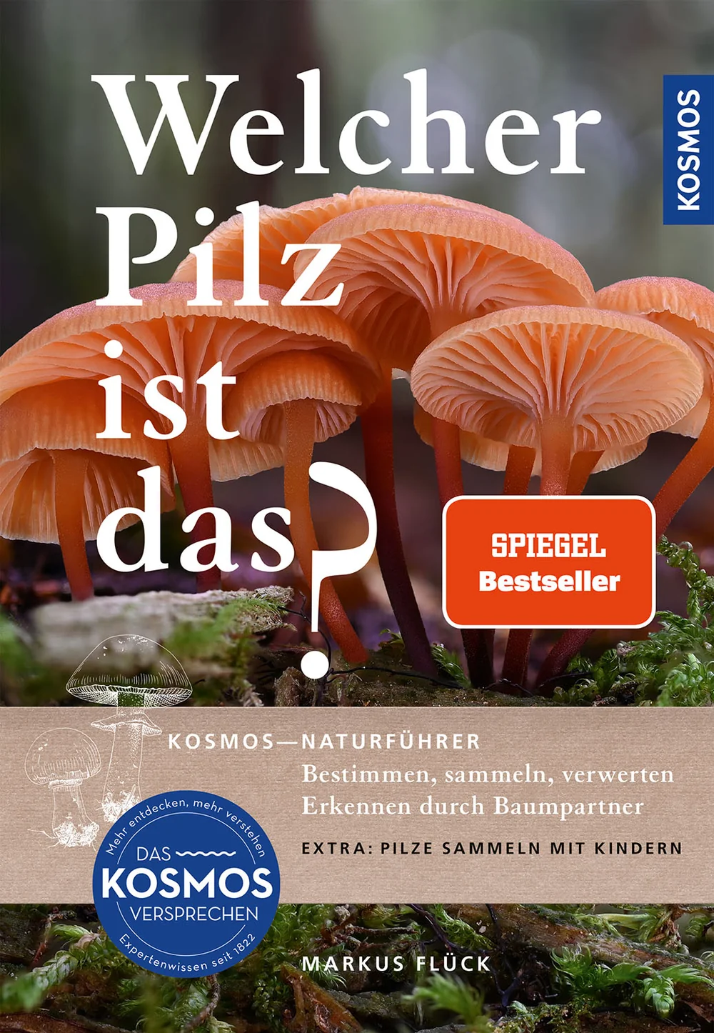 Cover: Welcher Pilz ist das?